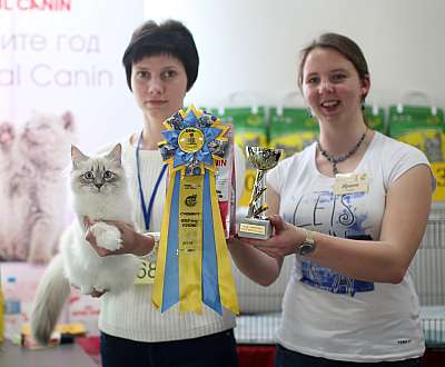 �������� ����� 11-12 ������ 2015 WCF-����� 6-68-169A4691 copy.jpg